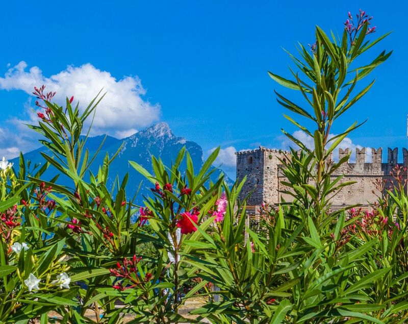 Frühlingsangebot 4=3